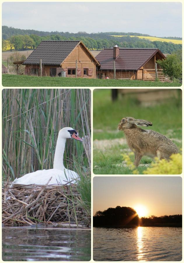 Domek Triftberg Chojna Exterior foto